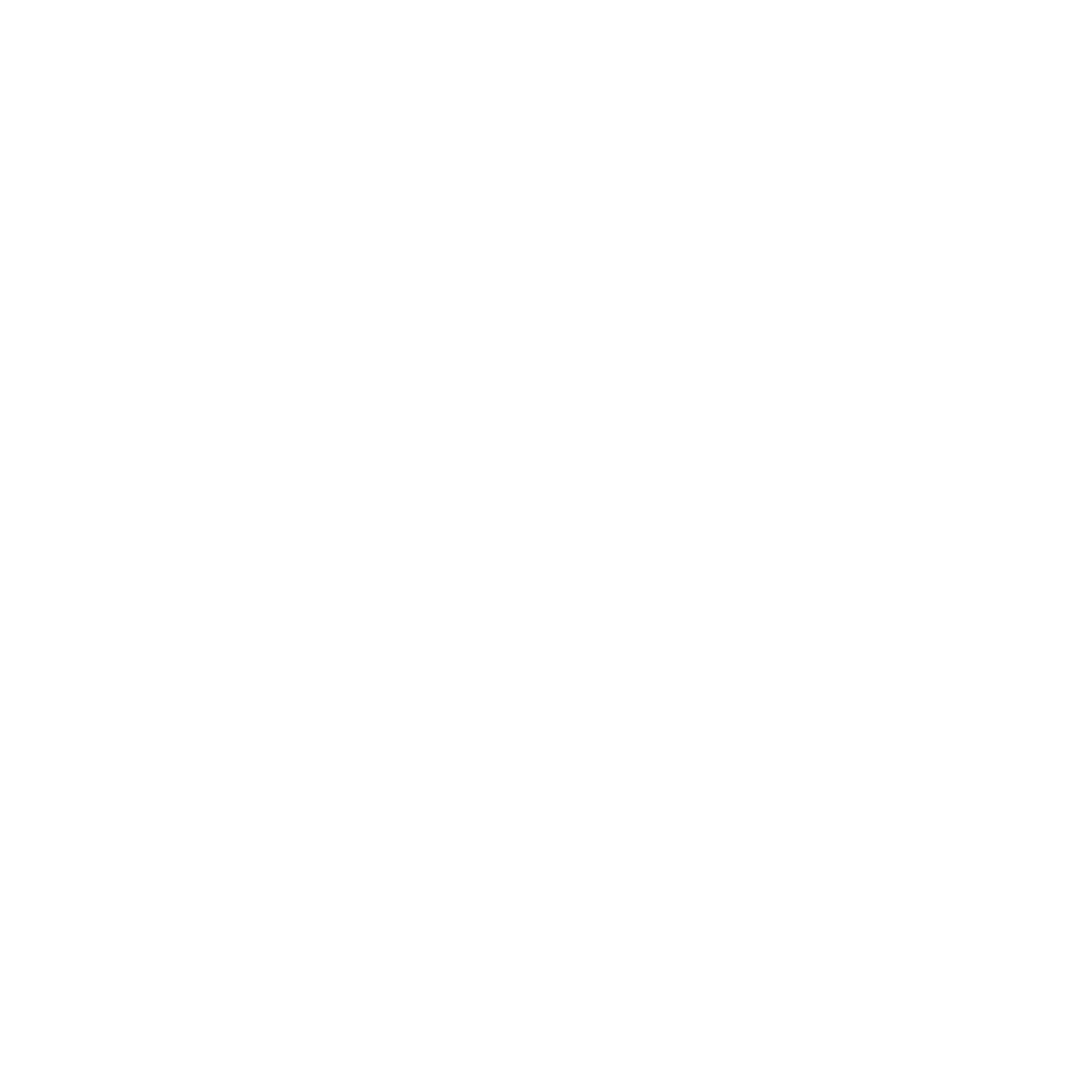 logo visatech new